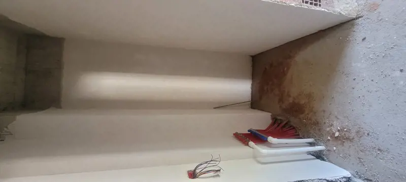 20260506_110020.jpg