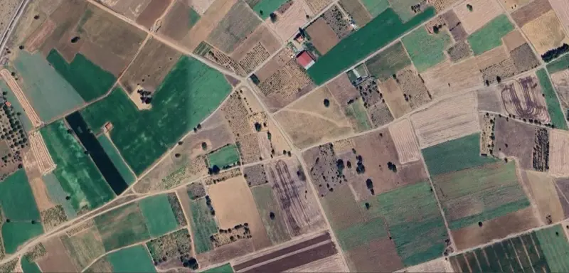 753.jpg