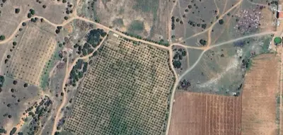 Denizli, Tavas, Satılık, Tarla