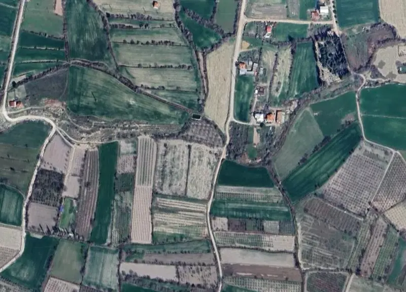 1885.jpg