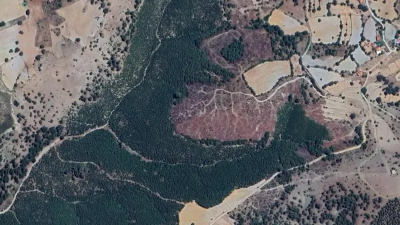 517.jpg