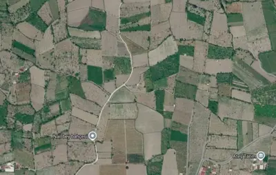 Denizli, Hürriyet, Tarla