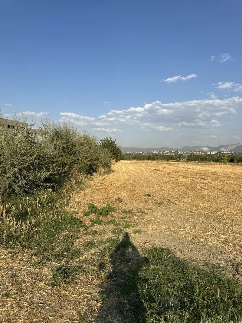Denizli, Pamukkale, Satılık, Tarla — fotoğraf 2