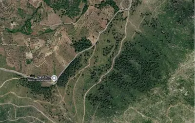 Muğla, Bodrum, Satılık, Tarla