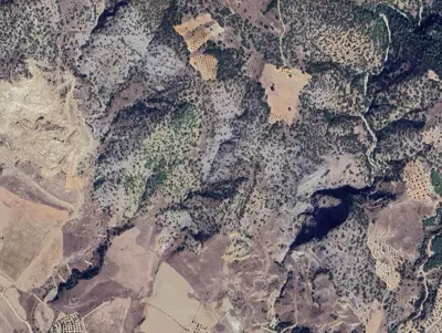 Denizli, Pamukkale, Satılık, Tarla