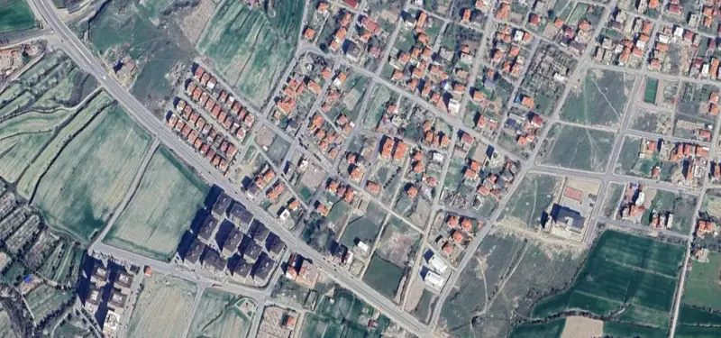 875.jpg