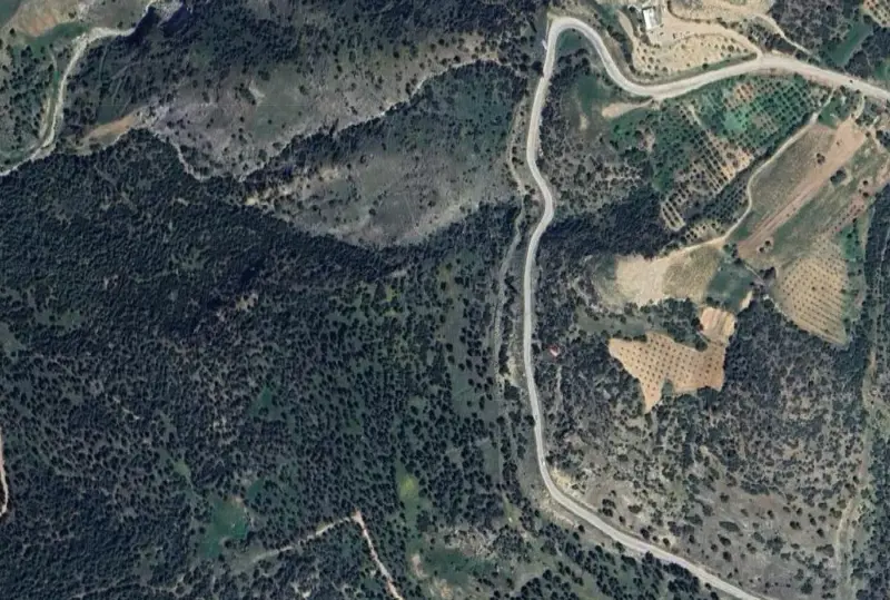 Denizli, Pamukkale, Satılık, Tarla — fotoğraf 1