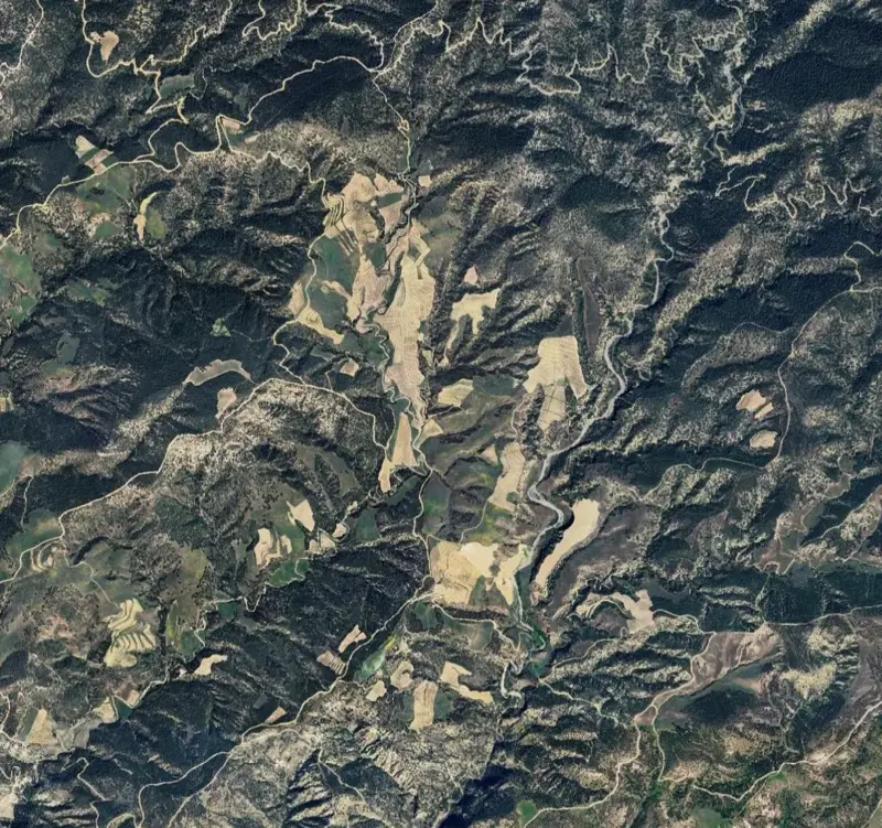 Denizli, Güzelpınar, Tarla — fotoğraf 1
