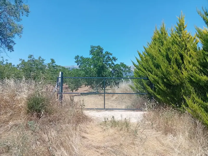 Denizli, Karahisar, Tarla — fotoğraf 13