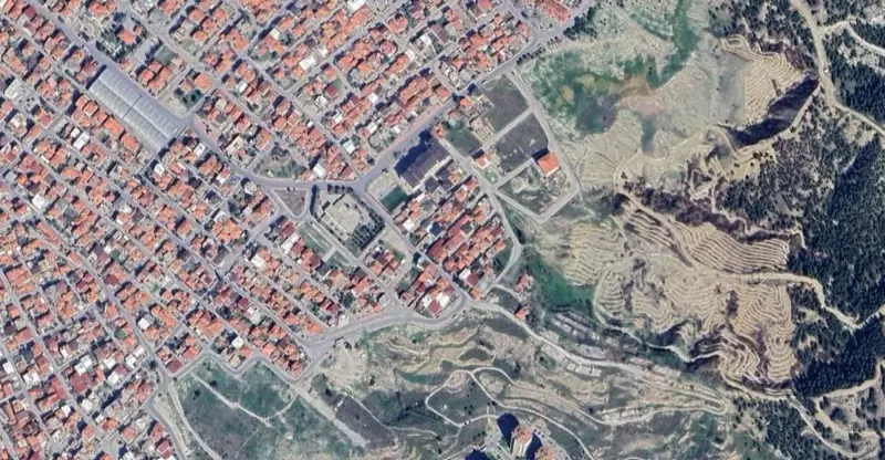 653.jpg