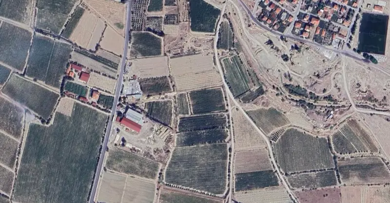 1343.jpg