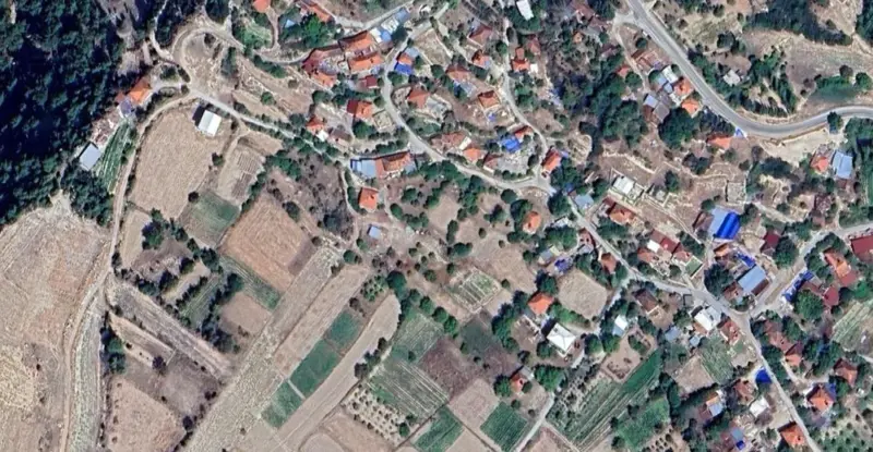 939.jpg