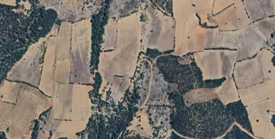 Denizli, Beyağaç, Satılık, Tarla