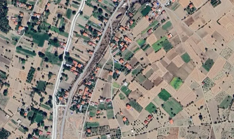 336.jpg