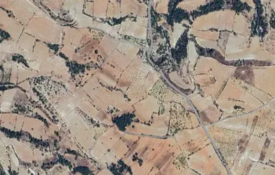 Denizli, Pamukkale, Satılık, Tarla