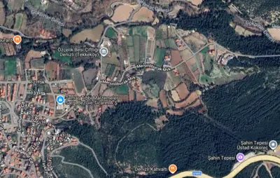 Denizli, Pamukkale, Satılık, Tarla