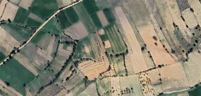 Denizli, Pamukkale, Satılık, Tarla