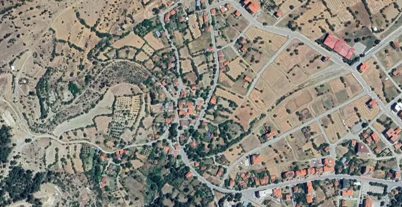 716.jpg