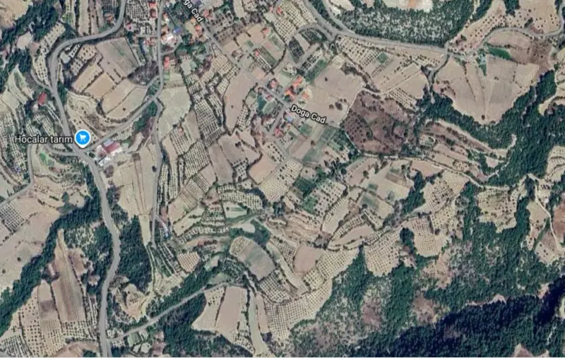 Denizli, Pamukkale, Satılık, Tarla — fotoğraf 1