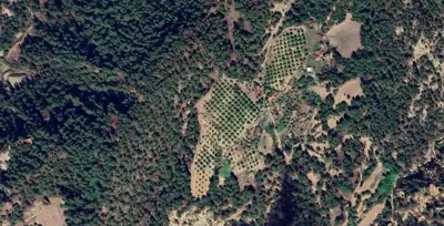 Denizli, Çameli, Satılık, Tarla