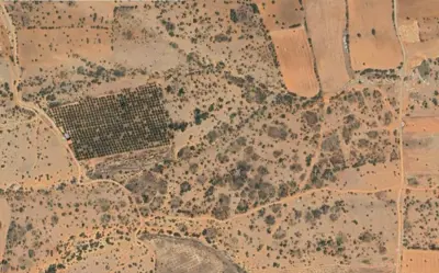 Denizli, Serinhisar, Satılık, Tarla