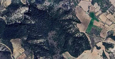 Denizli, Pamukkale, Satılık, Tarla