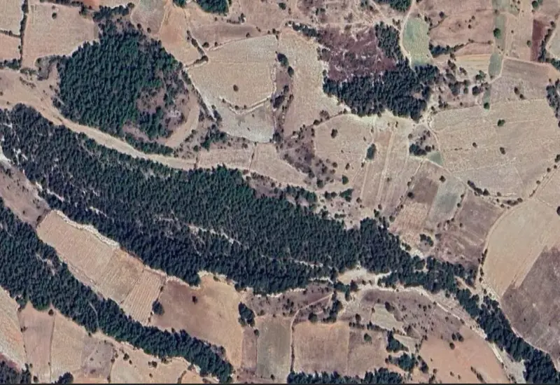 1912.jpg