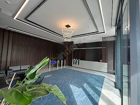 1292260000_16.jpg