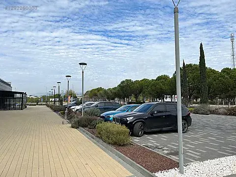 1292260000_08.jpg