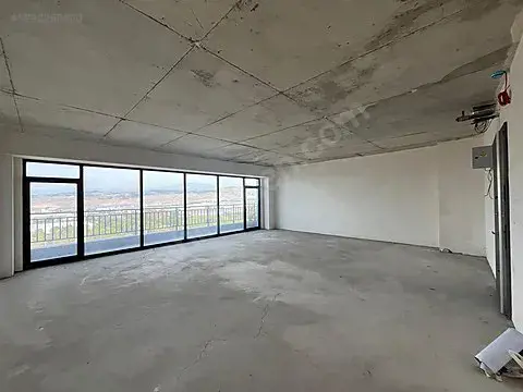 1292260000_30.jpg