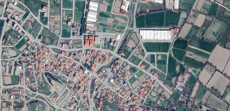 795.jpg