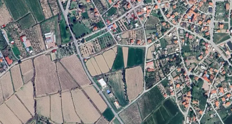 951.jpg