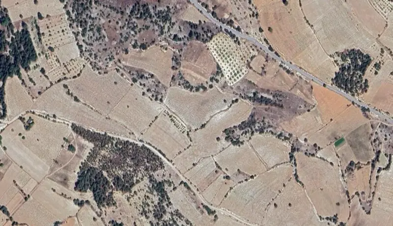 329.jpg