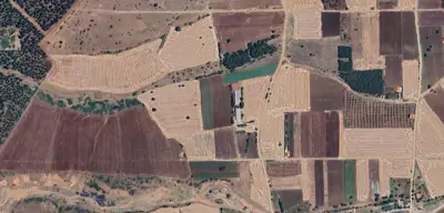 Denizli, Acıpayam, Satılık, Tarla