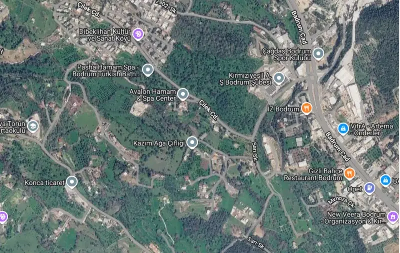 bolge-uydu-gorseli.png