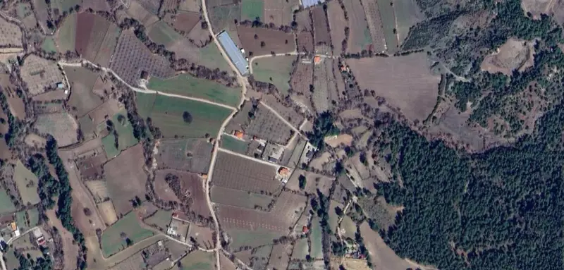 639.jpg