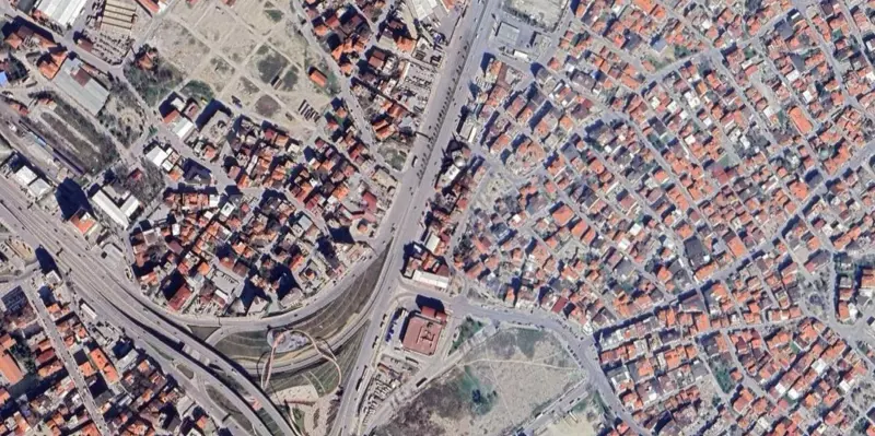1491.jpg