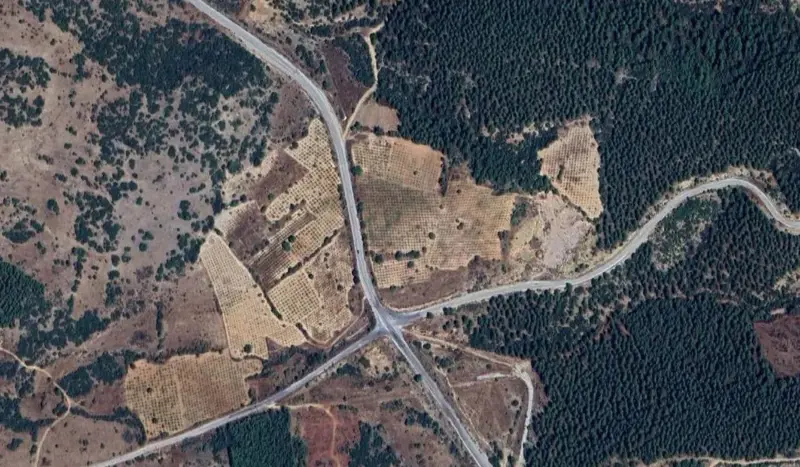 552.jpg