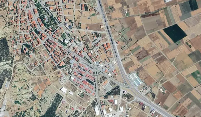 318.jpg