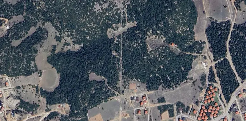 748.jpg