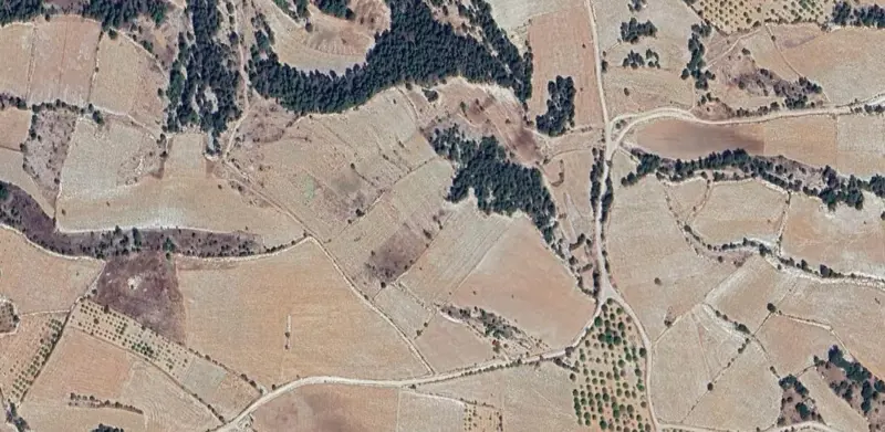 1675.jpg