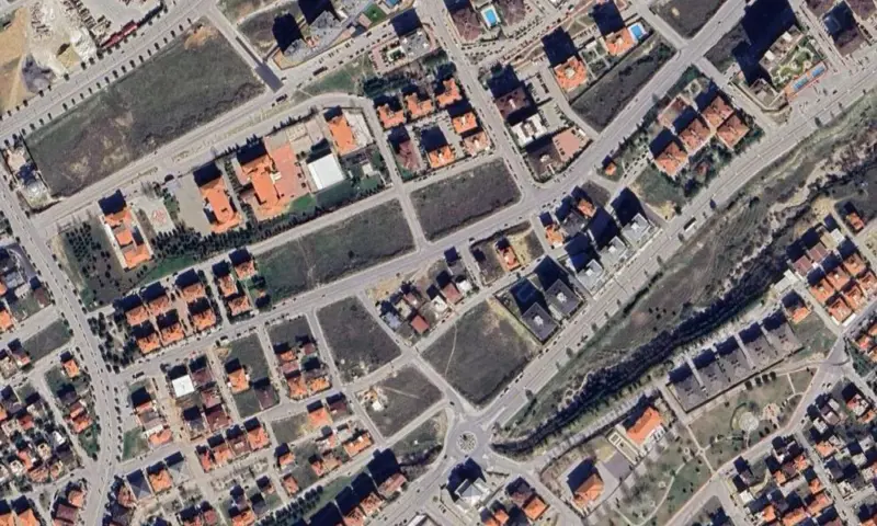 562.jpg