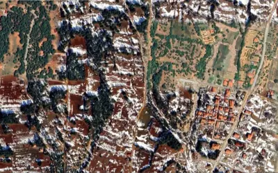 Denizli, Tavas, Satılık, Bağ