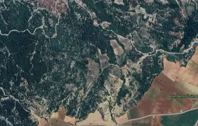 Denizli, Tavas, Ebecik Mah., Satılık, Tarla