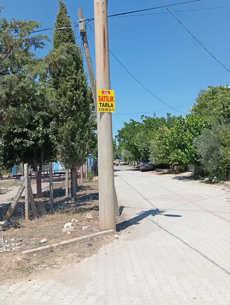 Denizli, Kızılcabölük, Tarla — fotoğraf 3