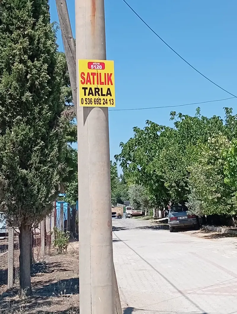 Denizli, Kızılcabölük, Tarla — fotoğraf 2