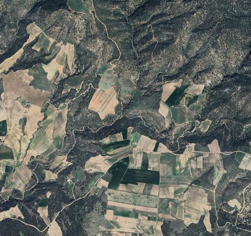 Ekran görüntüsü 2026-06-23 151038.png
