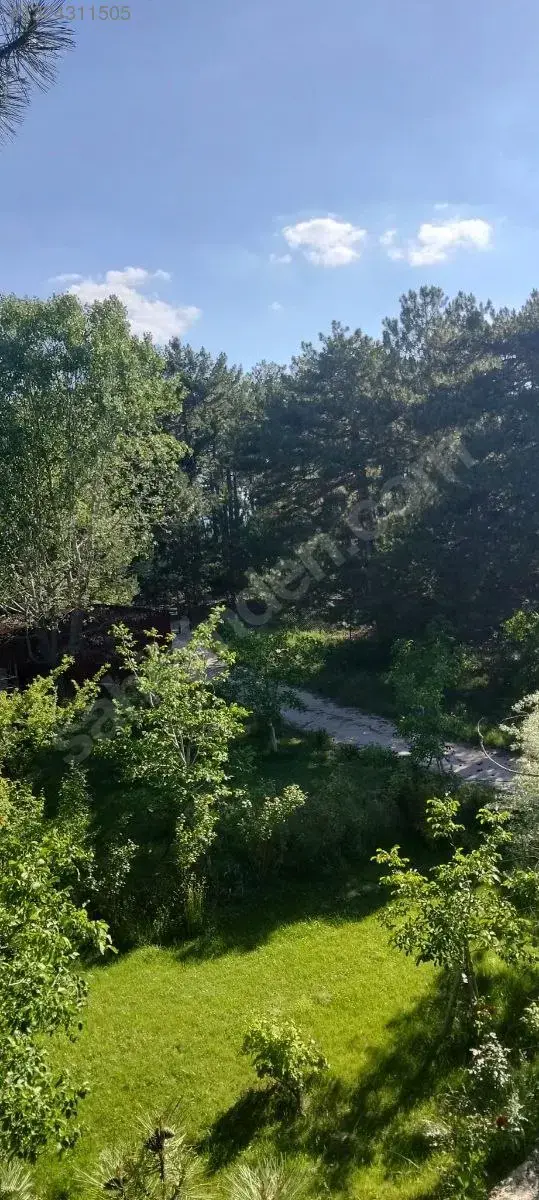 1324311505_12.jpg