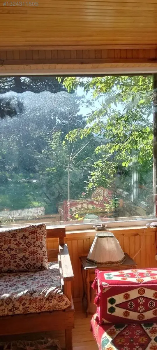 1324311505_18.jpg
