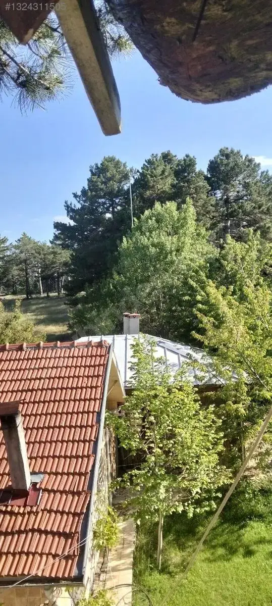 1324311505_14.jpg